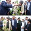 با حضور امام جمعه و نماینده ولی فقیه در استان کرمان، استاندار کرمان و سرپرست معاونت فرهنگی و دانشجویی   دانشگاه ملی مهارت:
غرس نهال به مناسبت هفته منابع طبیعی و روز درختکاری؛
در دانشگاه ملی مهارت واحد استان کرمان 2
