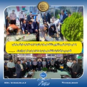 با حضور معاونت فرهنگی و دانشجویی دانشگاه ملی مهارت و ادای احترام به مقام شهید حاج قاسم سلیمانی:
 نخستین دوره ضیافت اندیشه دانشگاه ملی مهارت واحد استان کرمان به کار خود پایان داد. 2
