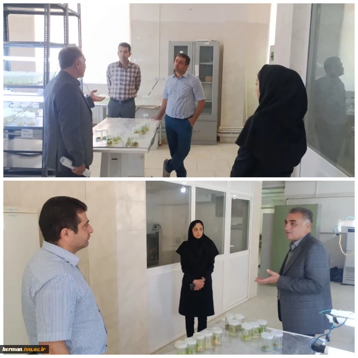 در راستای اجرای تفاهم‌نامه دانشگاه ملی مهارت  و سازمان نظام مهندسی کشور :
بازدید مسئولان سازمان نظام مهندسی کشاورزی و منابع طبیعی استان از آموزشکده کشاورزی رضوان کرمان
