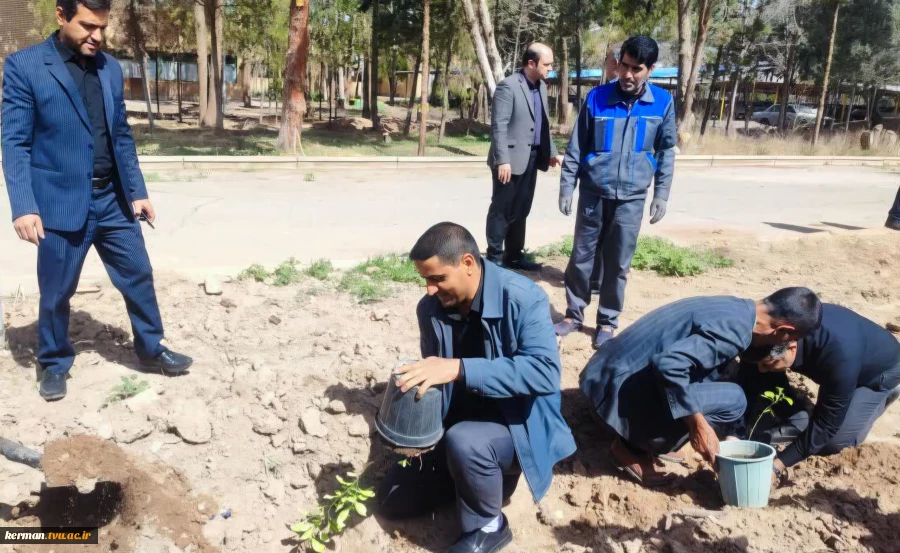 به یاد رهبر شهید انقلاب:
 غرس نهال توسط دانشگاهیان دانشگاه ملی مهارت واحد استان کرمان 2