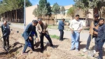 به یاد رهبر شهید انقلاب:
 غرس نهال توسط دانشگاهیان دانشگاه ملی مهارت واحد استان کرمان 2