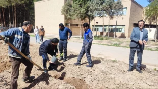 به یاد رهبر شهید انقلاب:
 غرس نهال توسط دانشگاهیان دانشگاه ملی مهارت واحد استان کرمان 2