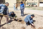 به یاد رهبر شهید انقلاب:
 غرس نهال توسط دانشگاهیان دانشگاه ملی مهارت واحد استان کرمان 2