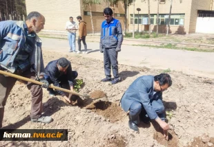 به یاد رهبر شهید انقلاب:
 غرس نهال توسط دانشگاهیان دانشگاه ملی مهارت واحد استان کرمان 2