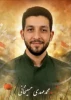با حضور درمنزل شهید اقتدار:
دیدار رئیس واحد استانی کرمان و  جمعی از مسئولان دانشگاه با خانواده شهید محمد مهدی حسینخانی 2