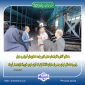 به منظور آشنایی با ظرفیت‌های صنعتی کشور و توسعه همکاری‌های آموزشی و مهارتی، رئیس واحد استانی کرمان و جمعی از مسئولان دانشگاه از شرکت آریان خودرو خاورمیانه بازدید بعمل آوردند.