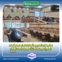 به مناسبت گرامیداشت دومین سالگرد شهادت شهدای خدمت برگزار شد:
 نشست روایت سیره شهدا در دانشگاه ملی مهارت واحد استانی کرمان