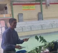 کارگاه آموزش عملی پیوند درختان و گیاهان در دانشگاه ملی مهارت واحد استانی کرمان، برگزار شد 4